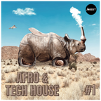 Tech House Mix (Afro & Latin Influences) #1