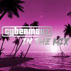 Cybermauz - In The Mix #355 (House & Dance Session XL)