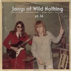 dfbm #111 - Songs of Wild Nothing Pt. 14