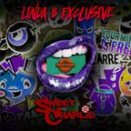 Funky Flavor Music Exclusive Guest Mix By DJ Sweet Charlie For The Linda B Breakbeat Show 96.9 ALLFM