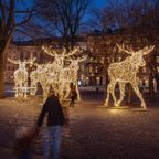 Hemisferio Boreal | Navidad en Estocolmo