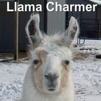 Llama Charmer