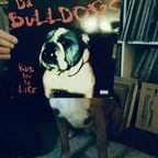 20 Below Thump & Crack Mix