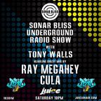 The Sonar Bliss Radio Show - Sonar Bliss 223 Plan B Takeover with Ray Megahey & Cula