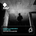 Straight Up Breakbeat | 2022 January | Dizzy