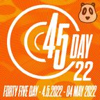 DJ Panda Mix For Forty Five Day