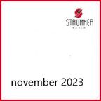 Strummer Radio's taste in music - november 2023