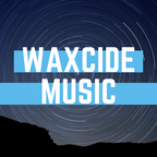 waxcide - museum electro mix