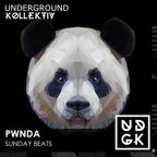pwnda - pwnda - Sunday Beats - Post Momentum Show (UDGK: 03/12/2023)