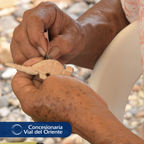#Novedades | Escuche ya lo nuevo del Corredor Villavicencio - Yopal - El Viario radio N91 (Oct 2023)