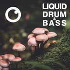 Liquid Drum and Bass Sessions #31 : Dreazz [October 2020]