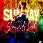 Sounds of Sunday with Dj Craiglee and guest (Wellington NZ) - 29 January 2023