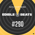 Edible Beats #290 guest mix from Benny Mussa