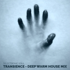 Delectronic Soul: Transience - Deep, Warm House Mix - Music for the Soul