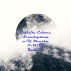 Infinite Echoes Soundsystem 11-19-22 w/Dj Meeshu on Radiolla