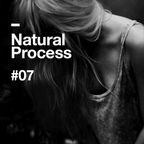 Natural Process #07
