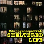 Sheltered Life (Nu-Disco Set, Part 1)