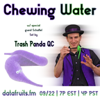 SCHAFFEL guest mix for Chewing Water on Datafruits.fm