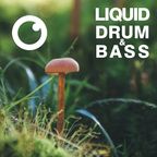 Liquid Drum and Bass Sessions  #39 [January 2021]