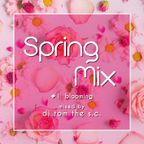 Spring Mix #1 Blooming