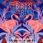 Teasing The Birds & The Bees 18