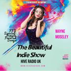 Hive Radio UK with Wayne M - Beautiful Indie Show - Show 81 - 22.11.23