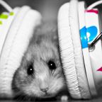 2013 WINTER DANCE MIX