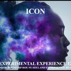 EXPERIMENTAL EXPERIENCE 12 (UNDERGROUND HIP HOP, NU-SOUL, AND EXPERIMENTAL BEATS)