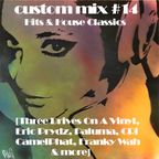 Custom mix #14 Hits & Classics #1 [CamelPhat, Rüfüs Du Sol  Eric Prydz, Paluma, Franky Wah & more]