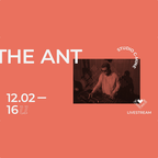 Studio C-mine // The Ant - Belgian Music Only