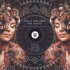 Salvo Migliorini, The Mystic - Mysterious (Jack Essek Remix) [Tibetania Records]