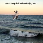 Soar - deep dub techno Redjay mix