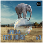 Tech House Mix (Afro & Latin Influences) #3