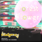 Mixset from Forest Flower -8.8- 20220808