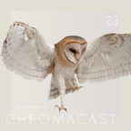 Chromacast 23 - Goingrey