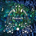 PEACOCK live mix October 2022 by ERICYANN