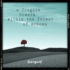 A Fragile Breath Within The Forest Of Echoes