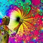 Tude - 145 Psychedelic Beats Per Minute