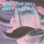 What The Hell Was That? #2