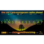 SMR - EP227 - THE SENSELESS GAP!