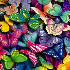 The Designer - Butterfly Season, Part 2 (2014)