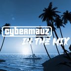 Cybermauz - In The Mix #358 (House & Dance Session XL)