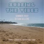 Surfing the Vibe [Summer 2022]