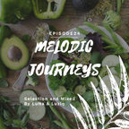 MELODIC JOURNEYS 24 Selection and Mixed By LuNa & Luziq