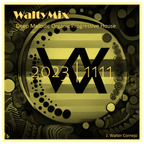 WaltyMix 2023 | 1111 Deep Melodic Organic Progressive House
