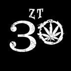 Fleck_#ZT30_TributetoZionTrainMix