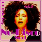 Soul Of Nu-Disco vol.2