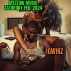 Mellow Music Saturday Feb. 2024 {GWhiz}
