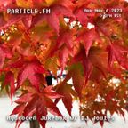 Hydrogen Jukebox w/ DJ Joules - Nov 6th 2023