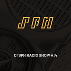 DJ SFH Radio Show #14 - DJ Mix and Radio Show